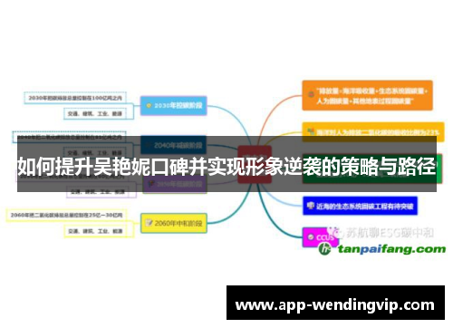 如何提升吴艳妮口碑并实现形象逆袭的策略与路径