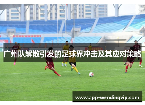 广州队解散引发的足球界冲击及其应对策略