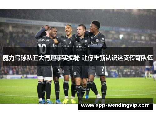 魔力鸟球队五大有趣事实揭秘 让你重新认识这支传奇队伍